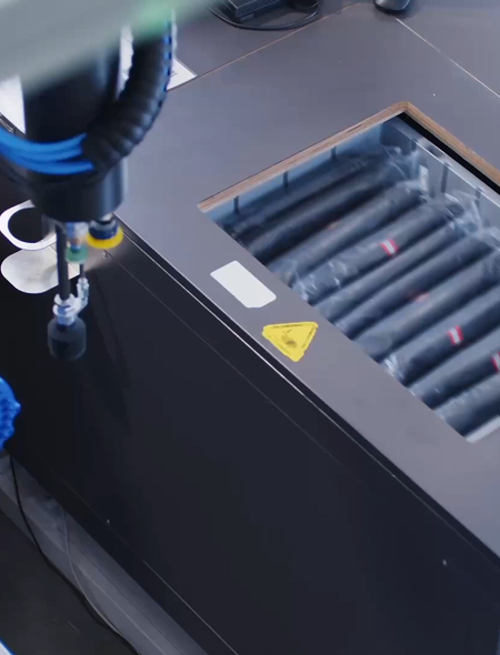 Cortex. Decision making. Planning.